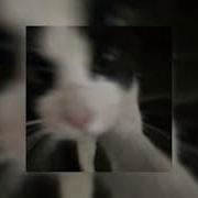 Дисконнект Speed Up