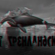 Русская Рыбалка 3 99 Кит Гренландский