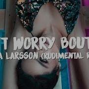 Zara Larsson Don T Worry Bout Me Lyrics Rudimental Remix