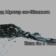 Мухаммад Мухтар Аш Шанкыти Если Бы Я Только Знал