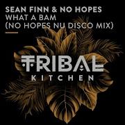 Sean Finn No Hopes What A Bam No Hopes Nu Disco Extended Mix