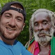 Ganja Rastafari