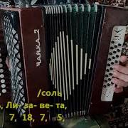 Ты Ждешь Лизавета Разбор На Гармони