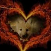 Wolves Return To Innocence Enigma
