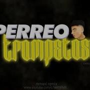 Perreo Trompetoso