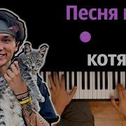 Про Котят Минусовка