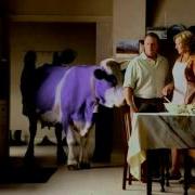 Milka Решись Быть Нежным