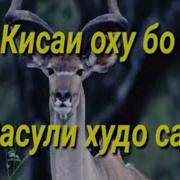 Кисаи Оху