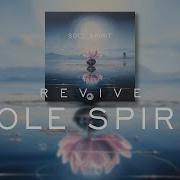 Sole Spirit Revive Full Album