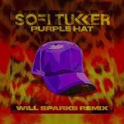 Sofi Tukker Purple Hat Will Sparks Remix