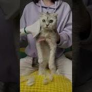 Кика И Соня