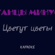 Цветы Танцы Минус Караоке Онлайн