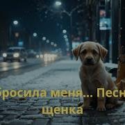 Песня От Щенка Ты Бросила Меня