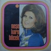 Neşe Karaböcek Bu Nasıl Aşk Böyle