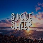 Suicide Sheep