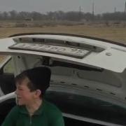Я Бездомный Сегодня Я Волк Я Голодный Но Чистий