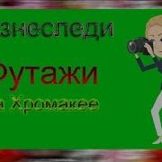 Диктор Ведущая Бизнес Девушка Леди 4 На Хромакее Футаж Зелёный Экран Chroma Key Green Screen