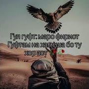 Зодрузат Муборак