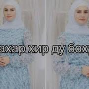 Малика Садулаева Ирсе Хир Ю Боху