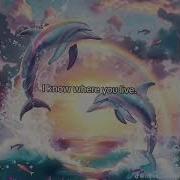 Dolphin Tik Tok Song