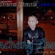 Cool Gentleman Jincheng Zhang Codify Perfect Instrumental Version