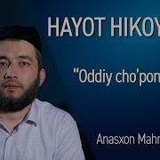 Oddiy Cho Pon Hikoyasi Hayot Hikoyalari