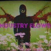 Diggy Gaves Industry Flower