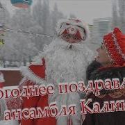 Ансамбль Калина Новогодняя