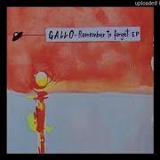 Gallo Remember To Forget