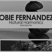 Obie Fernandez Natural Harmonics