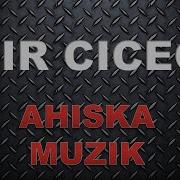 Ahiska Muzik Kir Gecegi