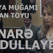 Elnarə Abdullayeva Mikayıl Güləddinoğlu Vasif Sintez Şirvan Toyu