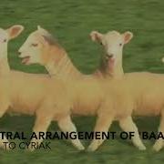 Cyriak Baaa Orchestra Arrangement