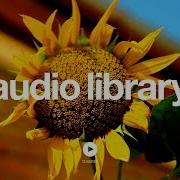 Topher Mohr And Alex Elena Sunflower Royalty Free Music