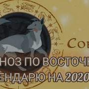 Собака Прогноз На 2020 Год Forecast 2020