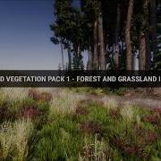 Advanced Vegetation Pack Speed Level Design