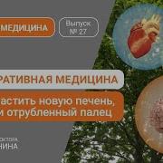 Как Отрастить Новую Печень