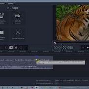 Обрезка Видео В Программе Movavi Video Editor