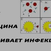 Уссиление Эффекта