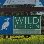 Wild Heron