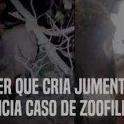 Zoofilia Sexo Com Animal