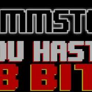 Du Hast 8 Bit Cover Tribute To Rammstein 8 Bit Universe