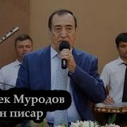 Чурабек Муродов Чон Писар