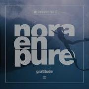 Nora Pure Gratidue