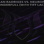 Ruslan Radriges Wonderfull Extended Mix Ruslan Radriges Vs Neurofunq Vs Tiff Lacey