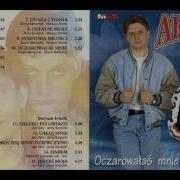 Akcent Siwy Koniu 1997