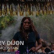 Honey Dijon Boiler Room