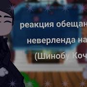 Реакция Обещанного Неверленда На Т И Как