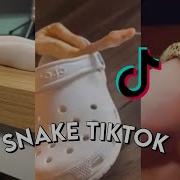 Snake Tik Tok