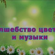 Детская Песня Цветовод